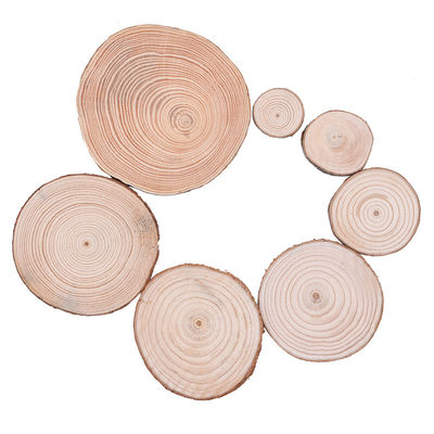 Bark Log 12cm صنایع دستی ناتمام چوب برش های چوب طبیعی